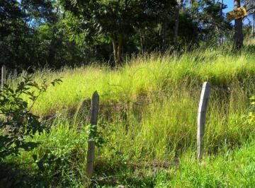 pocos-de-caldas-terrenos-terreno-jardim-regina-16-04-2018_12-06-59-0.jpg · Terrenos Padrão em Poços de Caldas