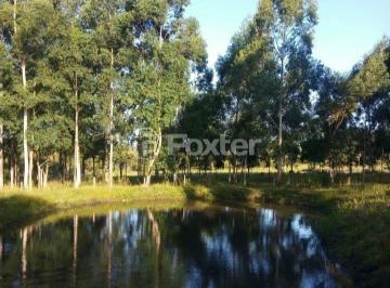 WhatsApp Image 2022-05-25 at 15.34.30.jpeg · Terreno, 60000 m², em Feitoria