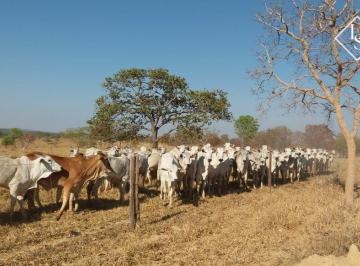 Rural · 1776ha · Fazenda de 1776 hectares em Curvelo - MG. 2 corregos dentro da fazenda. Dupla aptidão. Formada e pro