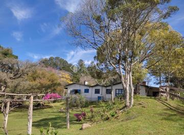 375557_iaP51S326L57AfwhG2_37555762a1f728e7439.jpg · Propriedade Rural no bairro Serrinha