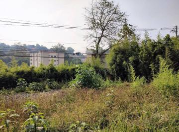 e2d3bd23587586aceb9b6d5fe86672b692ad6136 · Terreno à venda, 1550 m² por R$ 1.499.500,00 - Jardim Barbacena - Cotia/SP