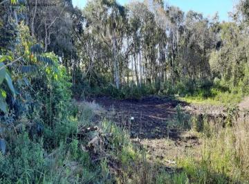 Foto 01 · Terreno, Linha Imperial, Nova Petrópolis, RS