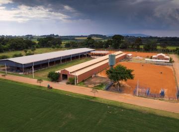 61f3273608a8e3371aa7b29201d3763d.jpg · HARAS COM 5 DORMITÓRIOS À VENDA, 181500 M² POR R$ 12.000.000,00 - SALTO DE PIRAPORA - SALTO DE PIRAP