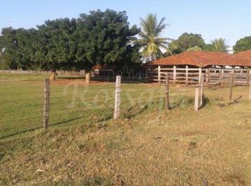 Rural · 50000m² · Sítio em Lagoa da Garça - Rubinéia - SP