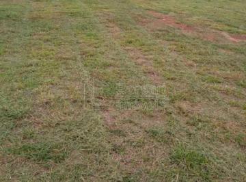 img0 · Terreno Comercial em Araraquara
