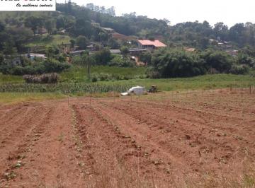 Foto 01 · Terreno à venda em Mogi das Cruzes-SP, Volta Fria: 54.000 m² de área! Venha conferir essa oportunida