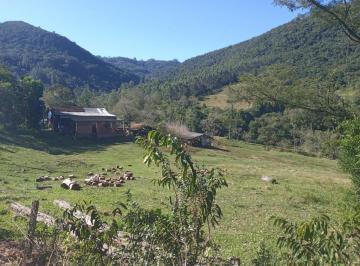 Terreno · 62000m² · Sítio bairro Joaneta Picada Café RS
