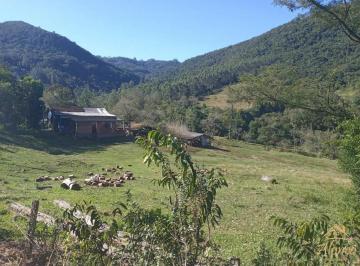 Terreno · 62000m² · Sítio bairro Joaneta Picada Café RS