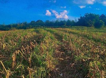 Terreno , Vargem · TERRENO À VENDA EM VARGEM-SP