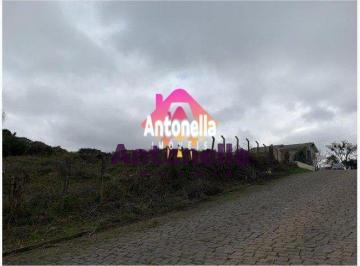 20722815_g.jpg · 
                                Terreno à  venda no bairro São Luiz 
                            