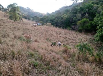 202409071434548161.jpeg · Terreno para Venda em Camanducaia, Estrada São Bento
