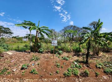 Comercial · 4900m² · Terreno Área em São José do Rio Preto