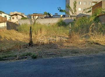 0 · terreno à venda em Ponte Preta