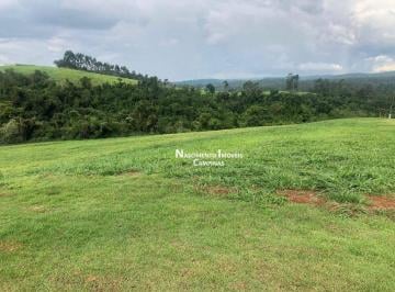 9731aa04cd01c16e3524aae3e2a391c298b9f04b · Área de alto padrão à venda, 10083 m² por R$ 8.000.000 - Loteamento Residencial Entre Verdes (Sousas