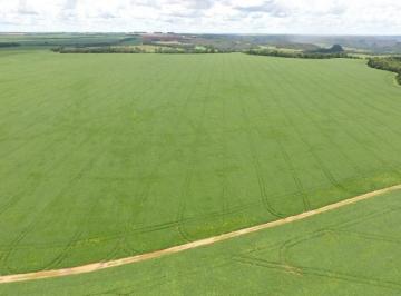 FAZENDA - VENDA - JATAÍ · Fazenda a venda, Jataí, Goiás, 494 Hectares, terra de lavoura