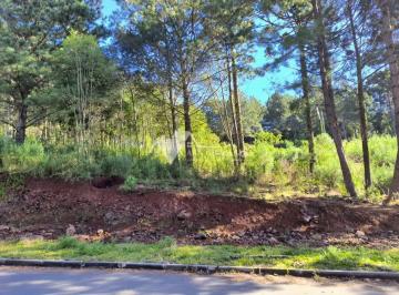 g1_413_6995_1145_160622.jpg · TERRENO EM GRAMADO
