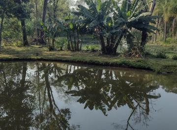 Rural · 
                                Chácara com ótima localização
                            