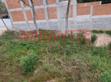 8d3eeeab36a54da800c3cea166f8d654.jpg · Terreno