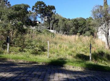 12936716_g.jpg · Imoveis - em Ana Rech