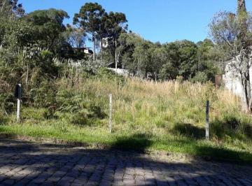 Terreno · 802m² · Terreno à venda - em Ana Rech