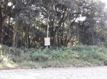14581065_g.jpg · Imoveis - em Ana Rech