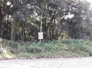 Terreno · 1661m² · Terreno à venda - em Ana Rech
