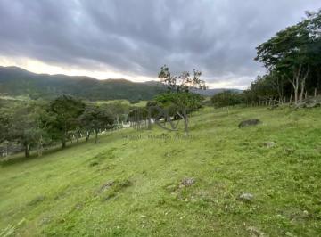 2022/06/e8002af21c6f21a822533d827feac232.jpg · RURAL - RATONES