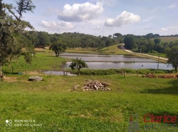 Foto 01 · Fazenda completa em São José dos Pinhais, Agro-indústria em São José dos Pinhais, Área rural a venda