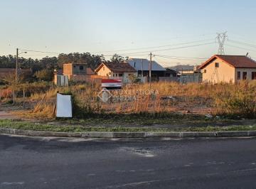 377421_if5s353JX9_37742162bdbc7dc4e48.jpg · Terreno no bairro Guajuviras