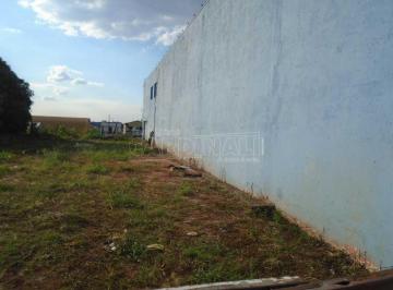 95213922411b9711151482fd31fe64ed.jpg · Terreno Padrão em Ibaté