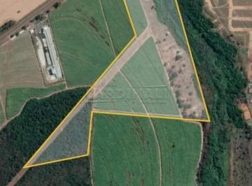 Área · Rural Área em Porto Ferreira