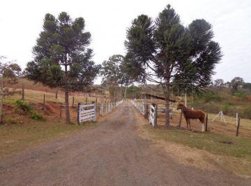 Entrada · Rural Chácara em São Carlos