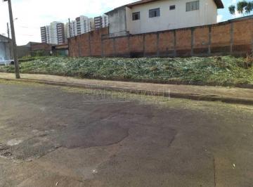 6910328fd0ff4a255ceaf9a8a4a2f036.jpg · Terreno Padrão em Araraquara