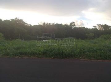 8c5c7294aca15fee0f6d8948e91dda29.jpg · Terreno Padrão em Araraquara