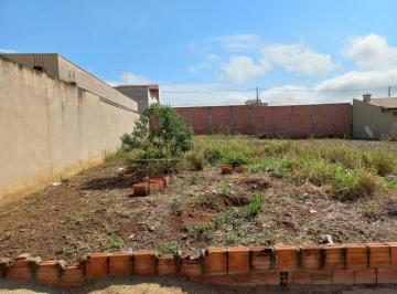 sao-carlos-terreno-lote-jardim-embare-21-10-2021_16-34-00-0.jpg · Terreno Lote em São Carlos