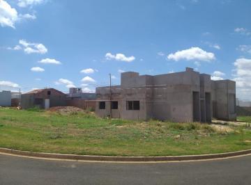 araraquara-terreno-lote-jardim-adalberto-frederico-de-oliveira-roxo-i-21-10-2021_15-29-01-0.jpg · Terreno Lote em Araraquara