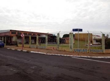 324bd27c84e7a6710598295891101057.jpg · Terreno Padrão em Araraquara