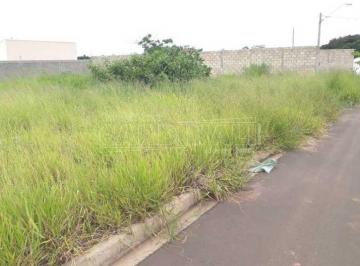 322c0976ba75e8974c4e50fd1e362d9f.jpg · Terreno Padrão em São Carlos