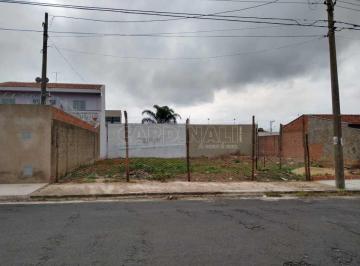 28149899f727af6ce6aa7225e15ae00c.jpg · Terreno Padrão em São Carlos