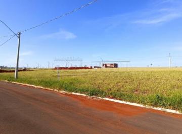 sao-carlos-terreno-padrao-salto-do-monjolinho-25-06-2022_11-30-18-0.jpg · Terreno Padrão em São Carlos