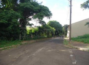 67b5849cc83e17cb097b6c1cdcbe097d.jpg · Terreno Padrão em São Carlos