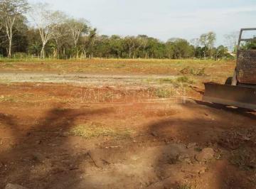 1da68fe5015b9e437285875e217f5e14.jpg · Terreno Padrão em Araraquara