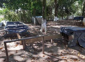 638968c03b6eed14f6bf4552942caa58.jpg · Rural Sítio em São Carlos