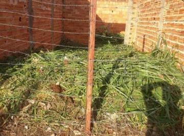 2c735a668b28d128107cc5aa83a7c5a4.jpg · Terreno Padrão em São Carlos