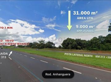 ribeirao-preto-terreno-padrao-jardim-salgado-filho-13-01-2022_17-42-27-1.jpg · Terreno Padrão em Ribeirão Preto