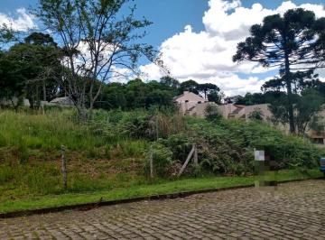 Terreno · 802m² · Terreno à venda em Ana Rech!