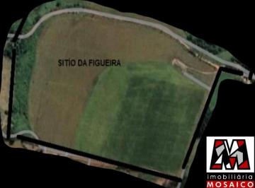Foto 01 · Sítio com ótima topografia, bairro Pedregulho, Itu, permuta
