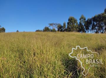 Foto 09 · ÁREA RURAL 150.000M² COM LINDA VISTA, EM JAMBEIRO!