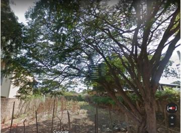 Foto 01 · Terreno, Cidade Universitária, Campinas, SP