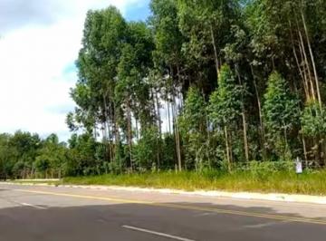 Terreno · 5000m² · Lote em  avenida Alpes das Águas - Alpes das Águas - São Pedro/SP